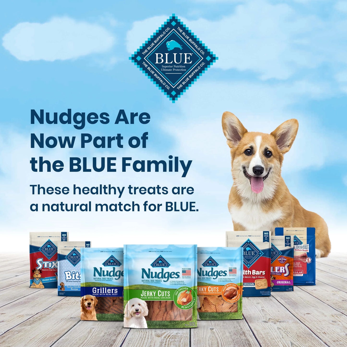 Blue Buffalo  Jerky Cuts Natural Dog Treats with Chicken and Duck, 16 oz Bag