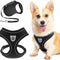 Dog Harness with Retractable Leash Set - Soft Mesh Puppy Harness and Leash, No Pull Padded Vest with 16.4 FT Leash for Small Medium Breeds Dogs & Cats, Black