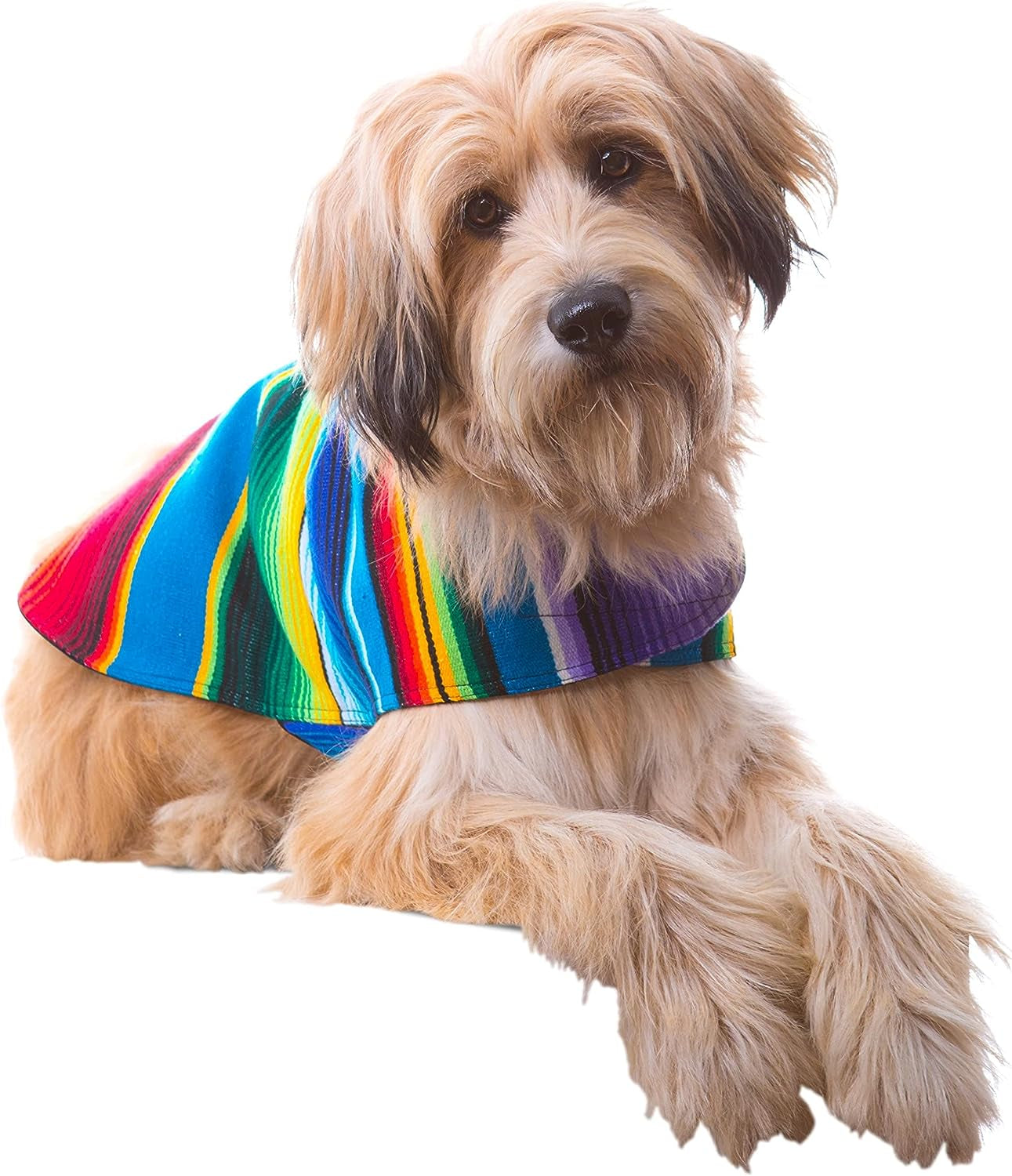 Dog Clothes - Handmade Dog Poncho from Authentic Mexican Blanket by  (Blue, X-Large)