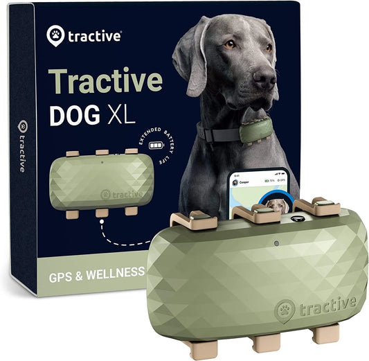 XL GPS Dog Tracker with Activity Monitoring - Green