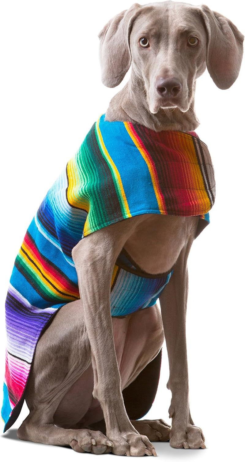 Dog Clothes - Handmade Dog Poncho from Authentic Mexican Blanket by  (Blue, X-Large)