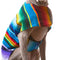 Dog Clothes - Handmade Dog Poncho from Authentic Mexican Blanket by  (Blue, X-Large)