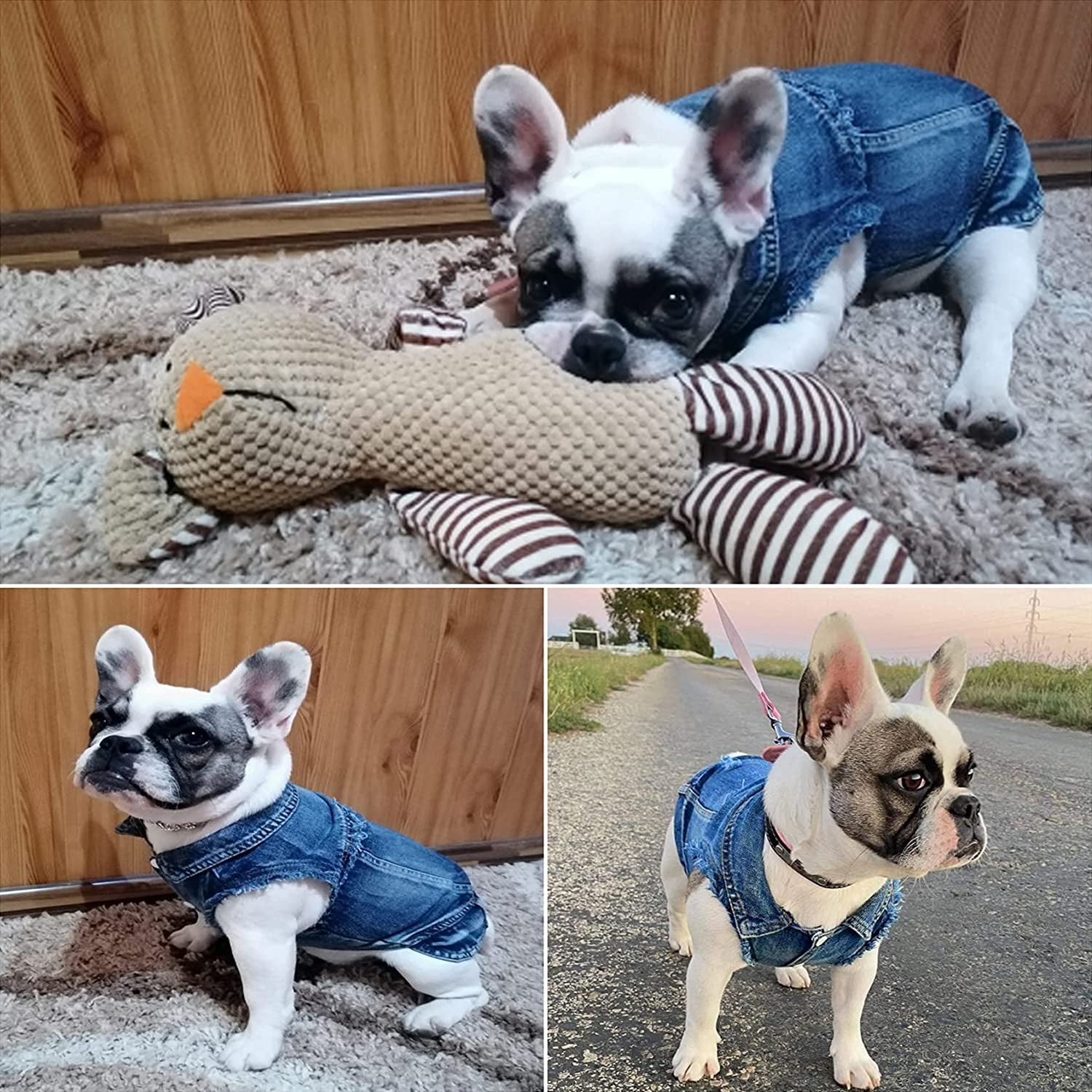 Dog Jean Jacket, Blue Denim Lapel Vest Coat T-Shirt Costume Cute Girl Boy Dog Puppy Clothes, Comfort and Cool Apparel, for Small Medium Dogs Cats, Machine Washable Dog Outfits (Medium, Blue)